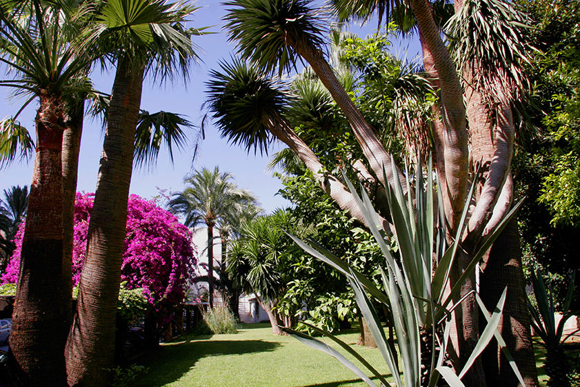 Hotel Apartamentos Bajondillo ตอร์เรโมลิโนส ภายนอก รูปภาพ The garden of the villa